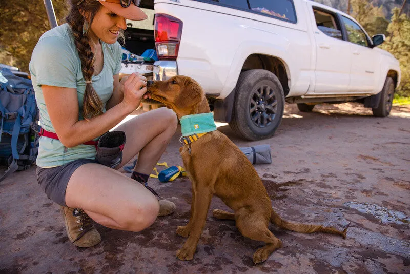 Ruffwear Swamp Cooler™ Cooling Neck Gaiter for Dogs