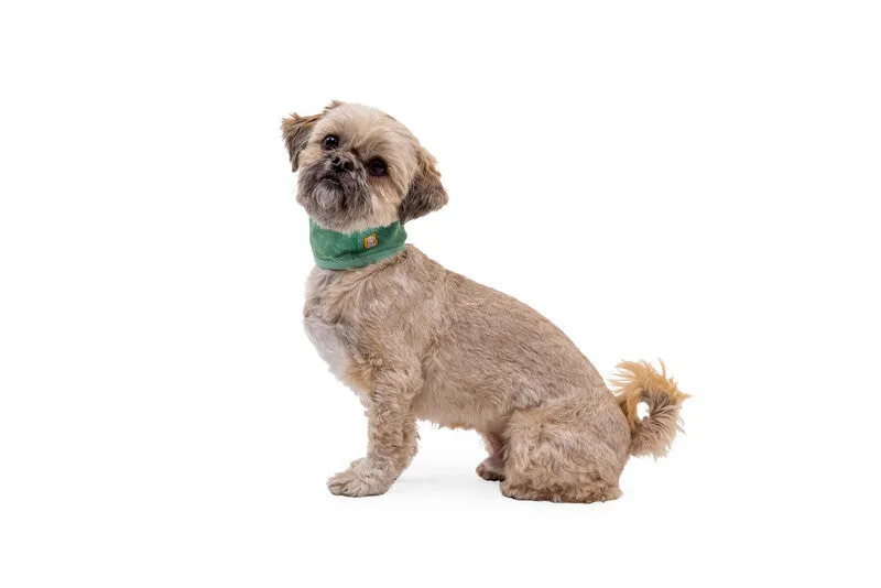 Ruffwear Swamp Cooler™ Cooling Neck Gaiter for Dogs