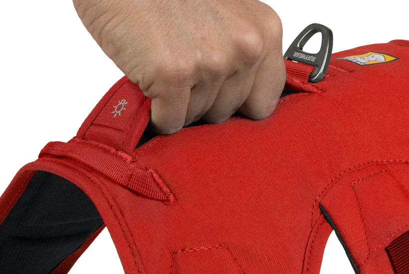 Ruffwear - Web Master Dog Harness with Handle (Red Sumac)