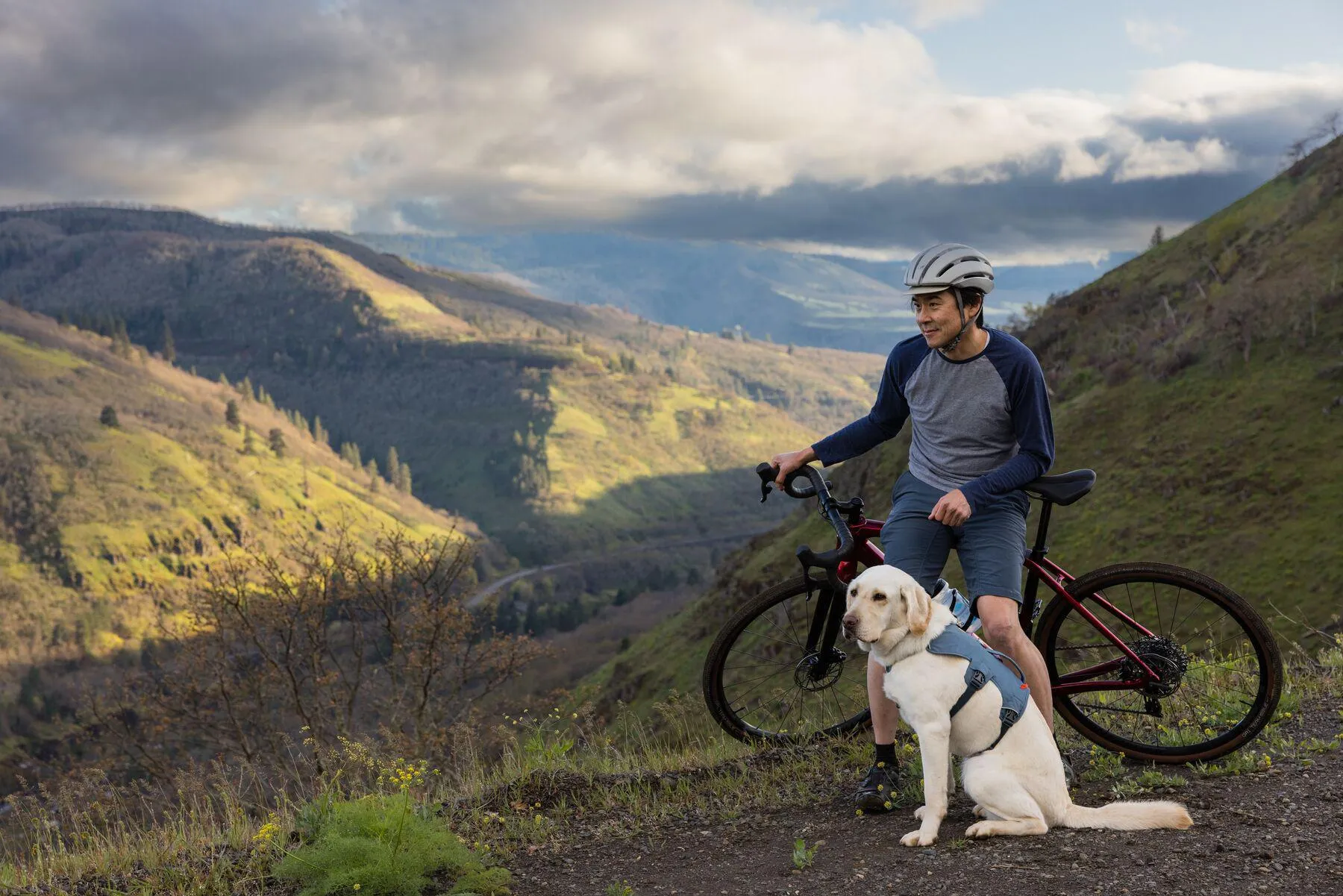 Ruffwear Web Master Slate Blue