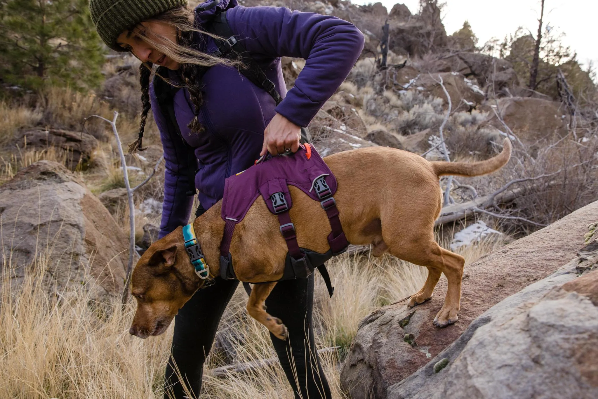 Ruffwear Web Master Slate Blue