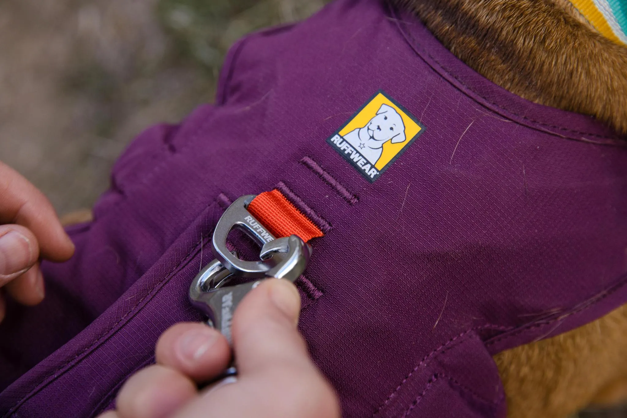 Ruffwear Web Master Slate Blue