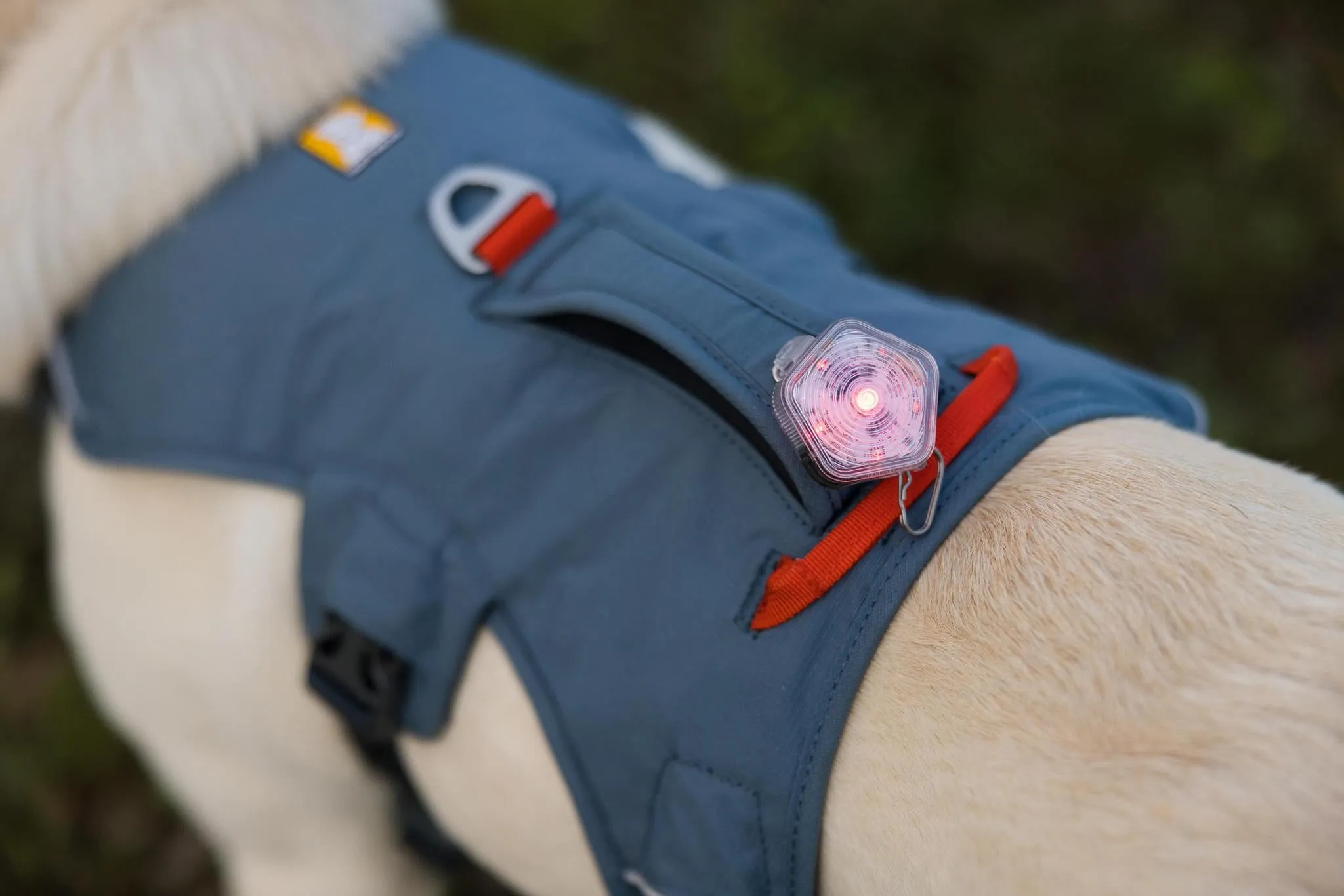 Ruffwear Web Master Slate Blue