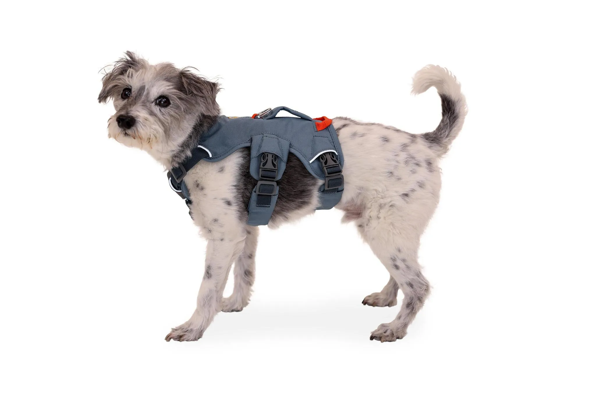 Ruffwear Web Master Slate Blue