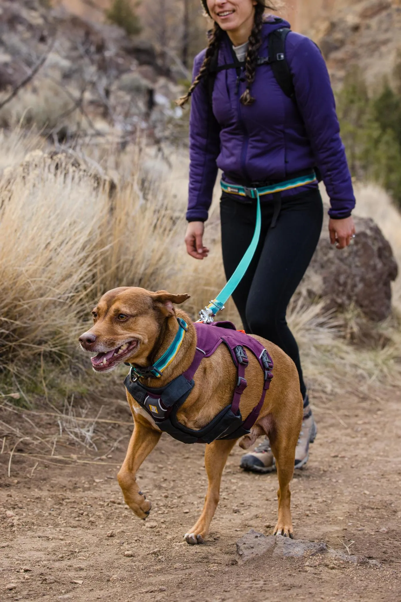 Ruffwear Web Master Slate Blue