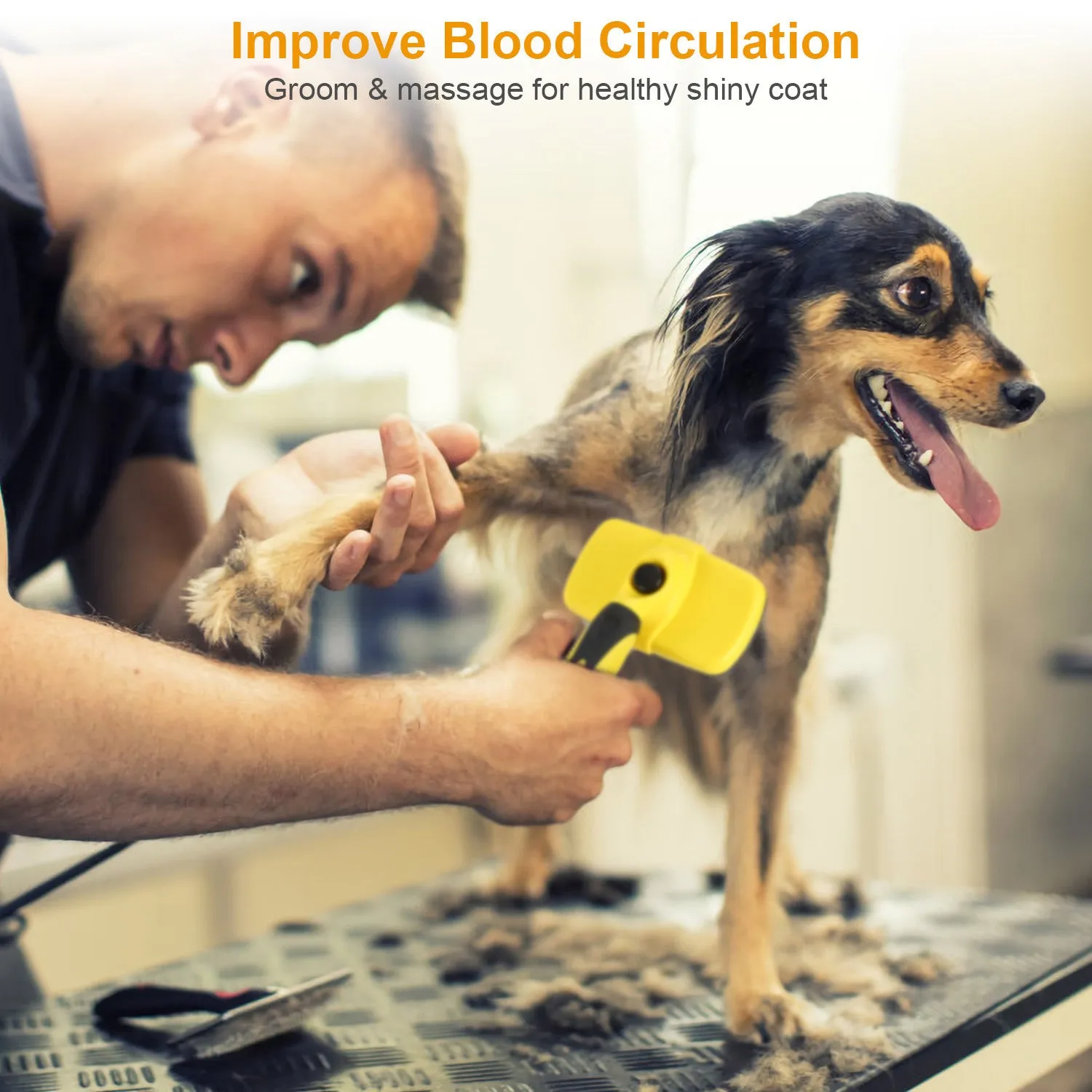 Self Cleaning Brush for Dog and Cat Grooming