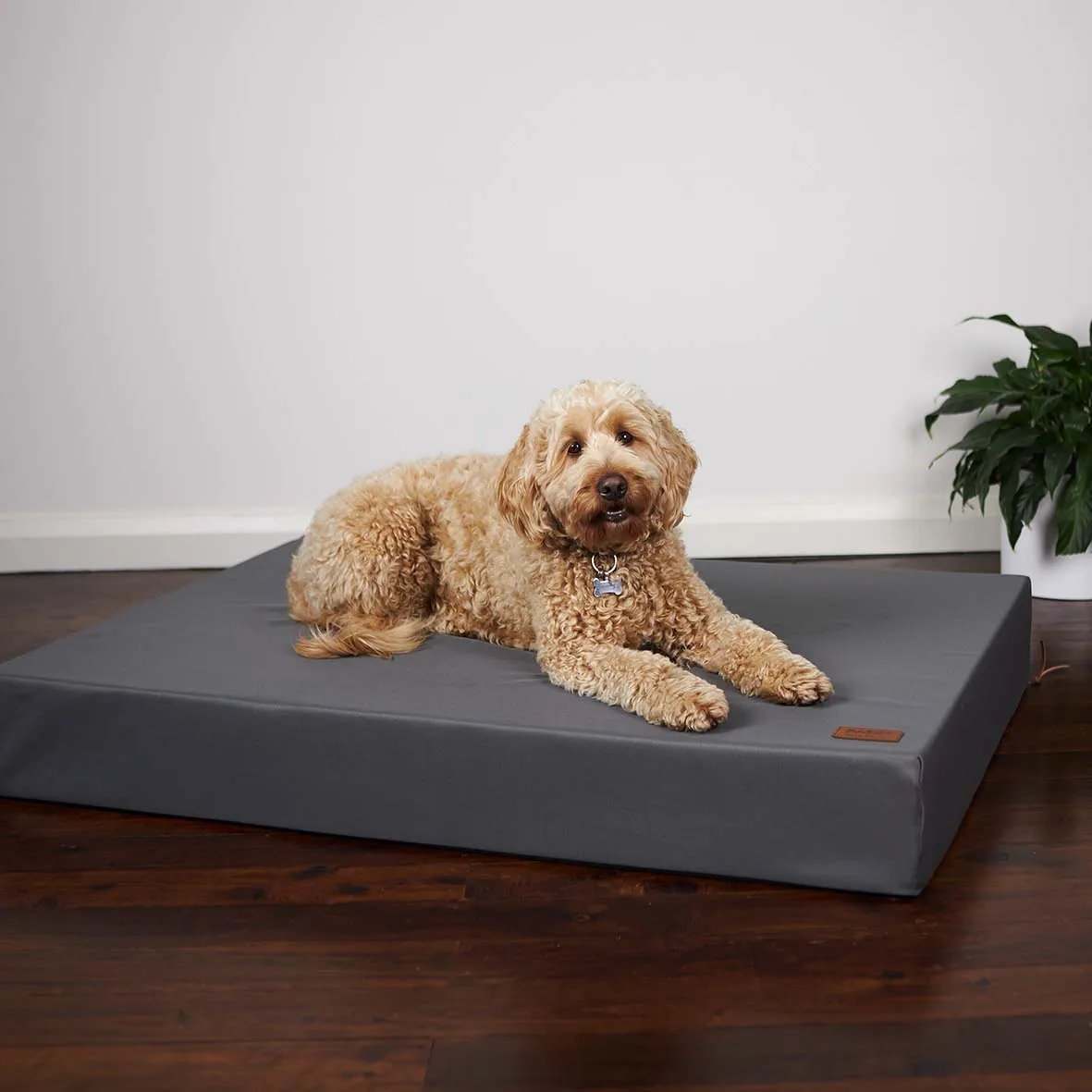 Slumber Dog Bed - Slate