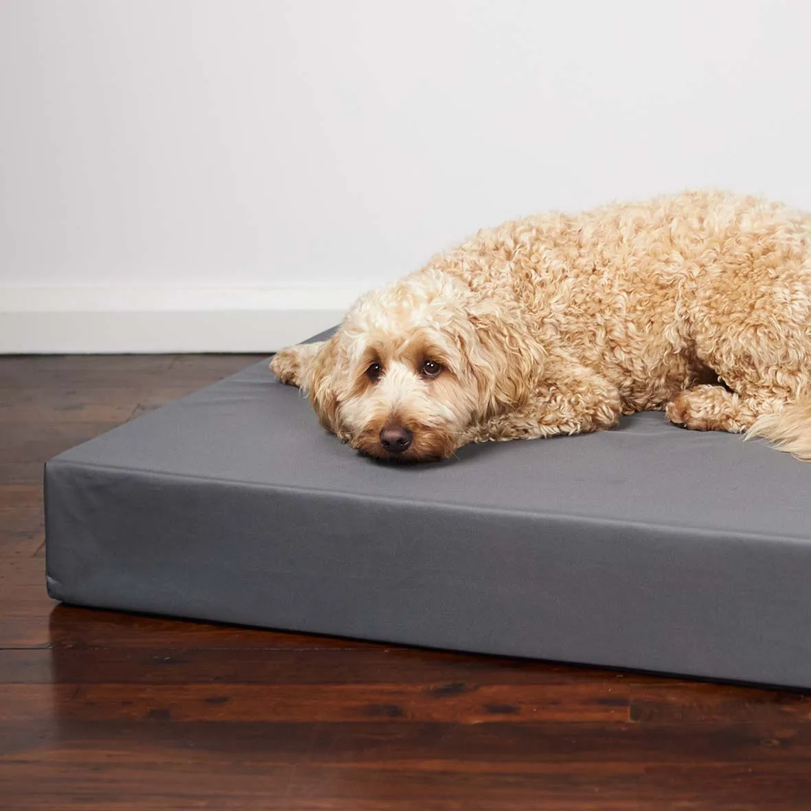 Slumber Dog Bed - Slate