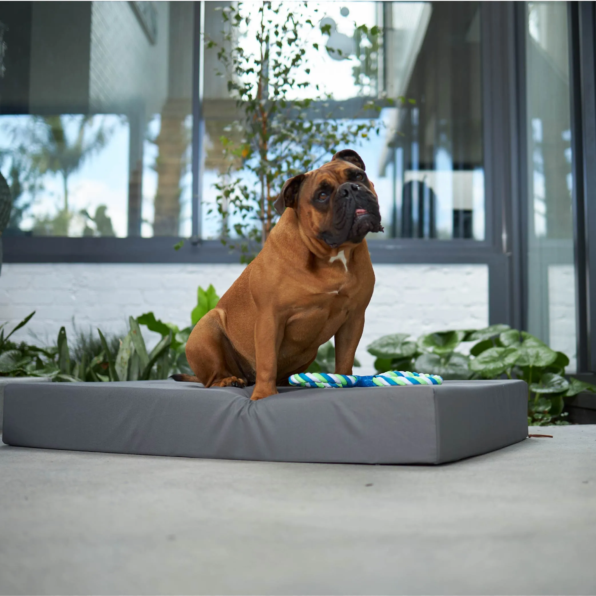 Slumber Dog Bed - Slate
