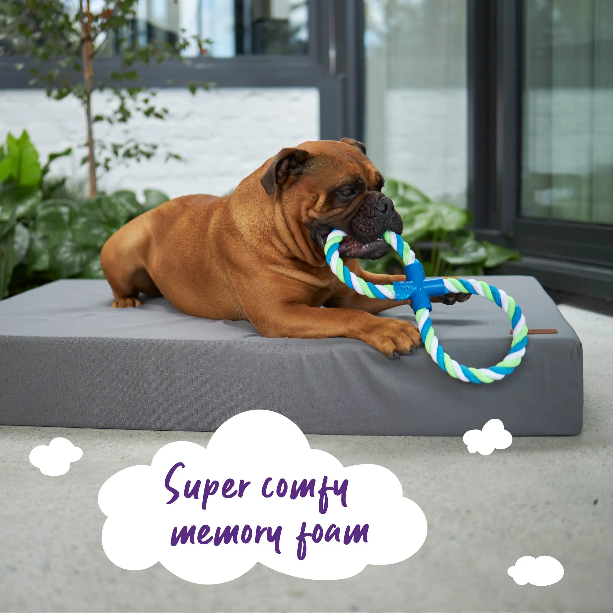 Slumber Dog Bed - Slate