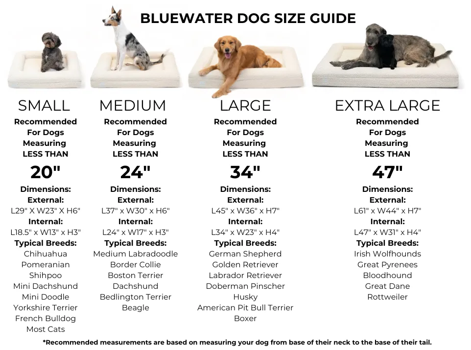 Small Luxury Bouclé Orthopedic Bluewater Dog Bed (Sand)