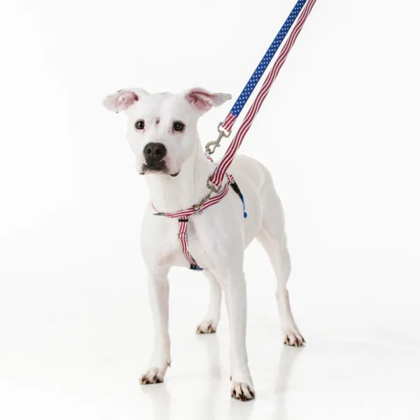Star Spangled Freedom No-Pull Dog Harness – EarthStyle