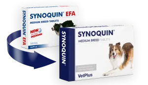 Synoquin Tablets for Dogs