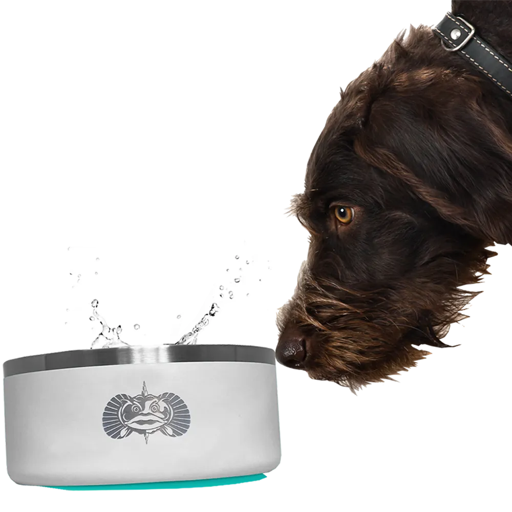 Toadfish Non-Tipping Dog Bowl White
