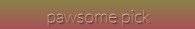 Limited Time Offers, Trending Products, Best Sellers & New Arrivals - Premium Pet Essentials